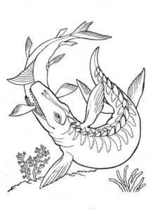 mosasaurus colouring pages