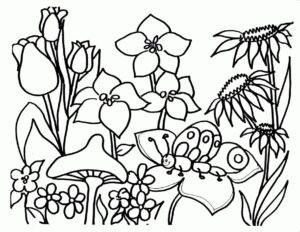 garden colouring pages for adults