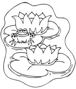 lily pad colouring page