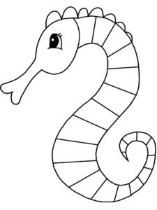 sea horse colouring pages