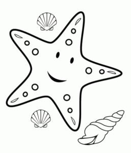 starfish colouring page