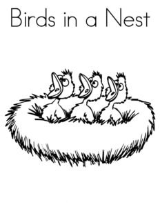 nest colouring pages