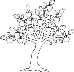 apple tree colouring pages