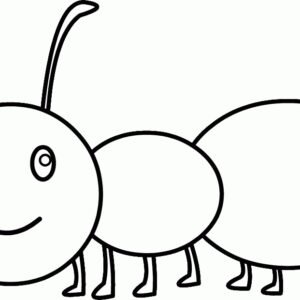 colouring pages of ant