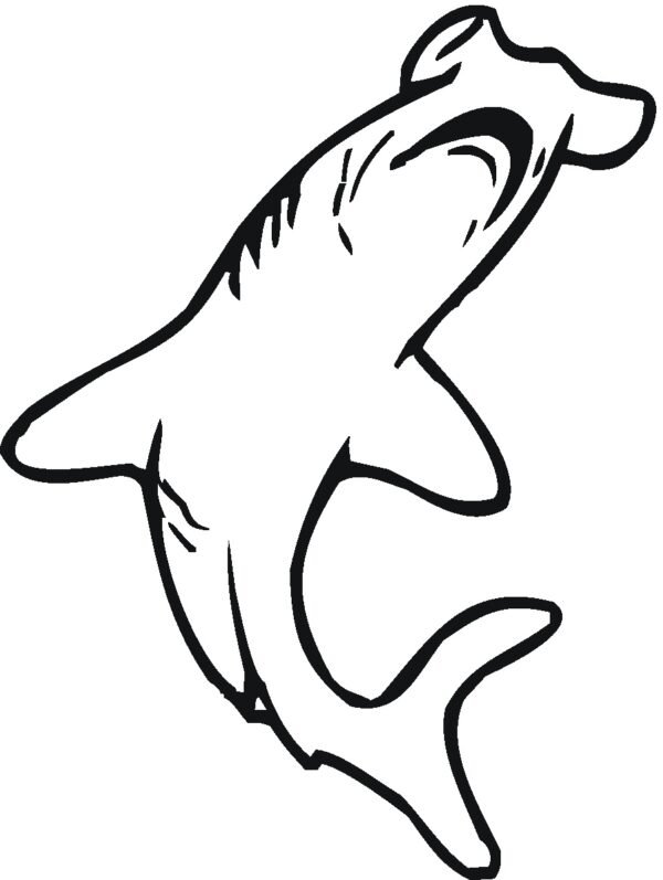 hammerhead shark colouring pages