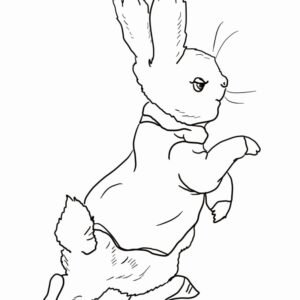 peter rabbit colouring pages