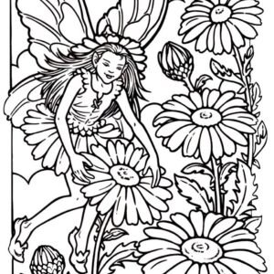 colouring pages fairy