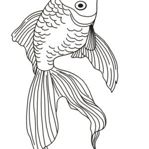 betta fish colouring pages