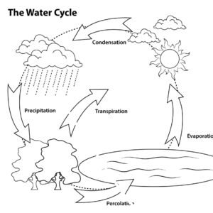 colouring pages of water cycle
