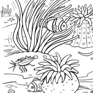 coral colouring pages