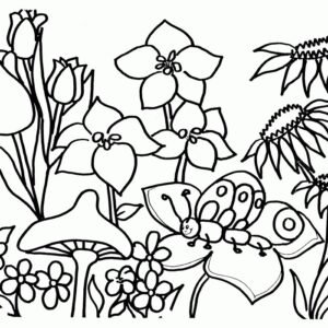 garden colouring pages for adults