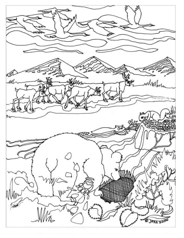 hibernation colouring pages