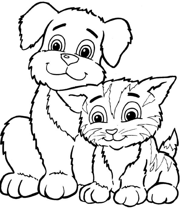 kitten and puppy colouring pages