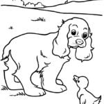 rottweiler colouring pages