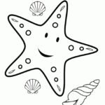 starfish colouring page