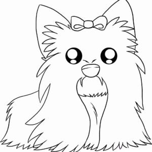 yorkie colouring pages