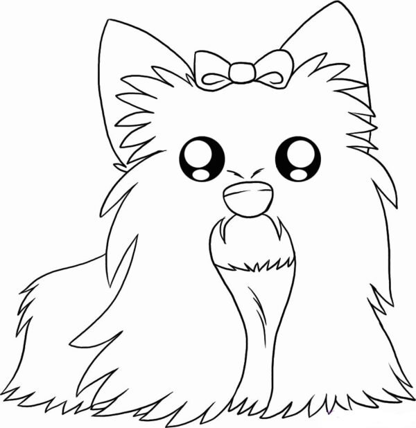 yorkie colouring pages