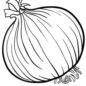 onion colouring pages
