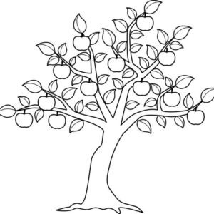 apple tree colouring pages